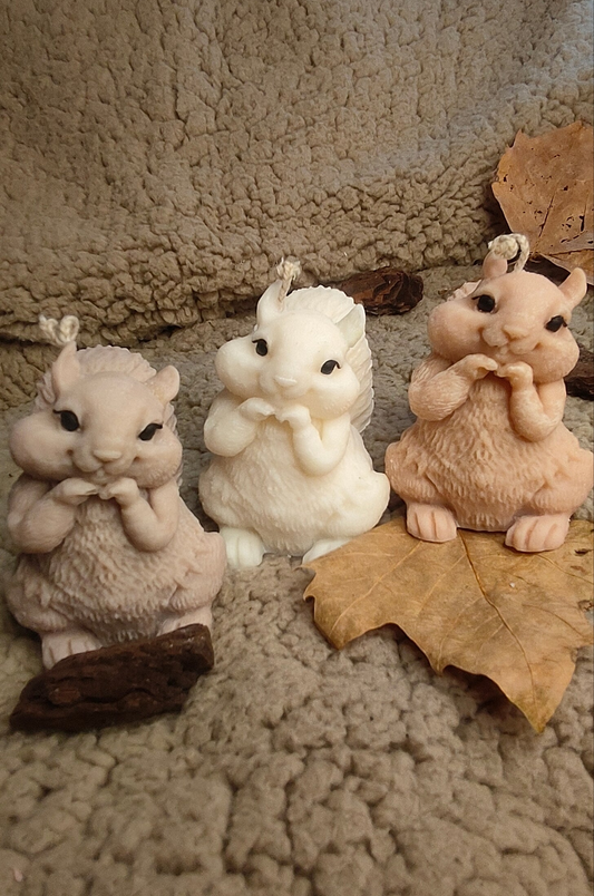 Esquilos Perfumados 🐿️🍁