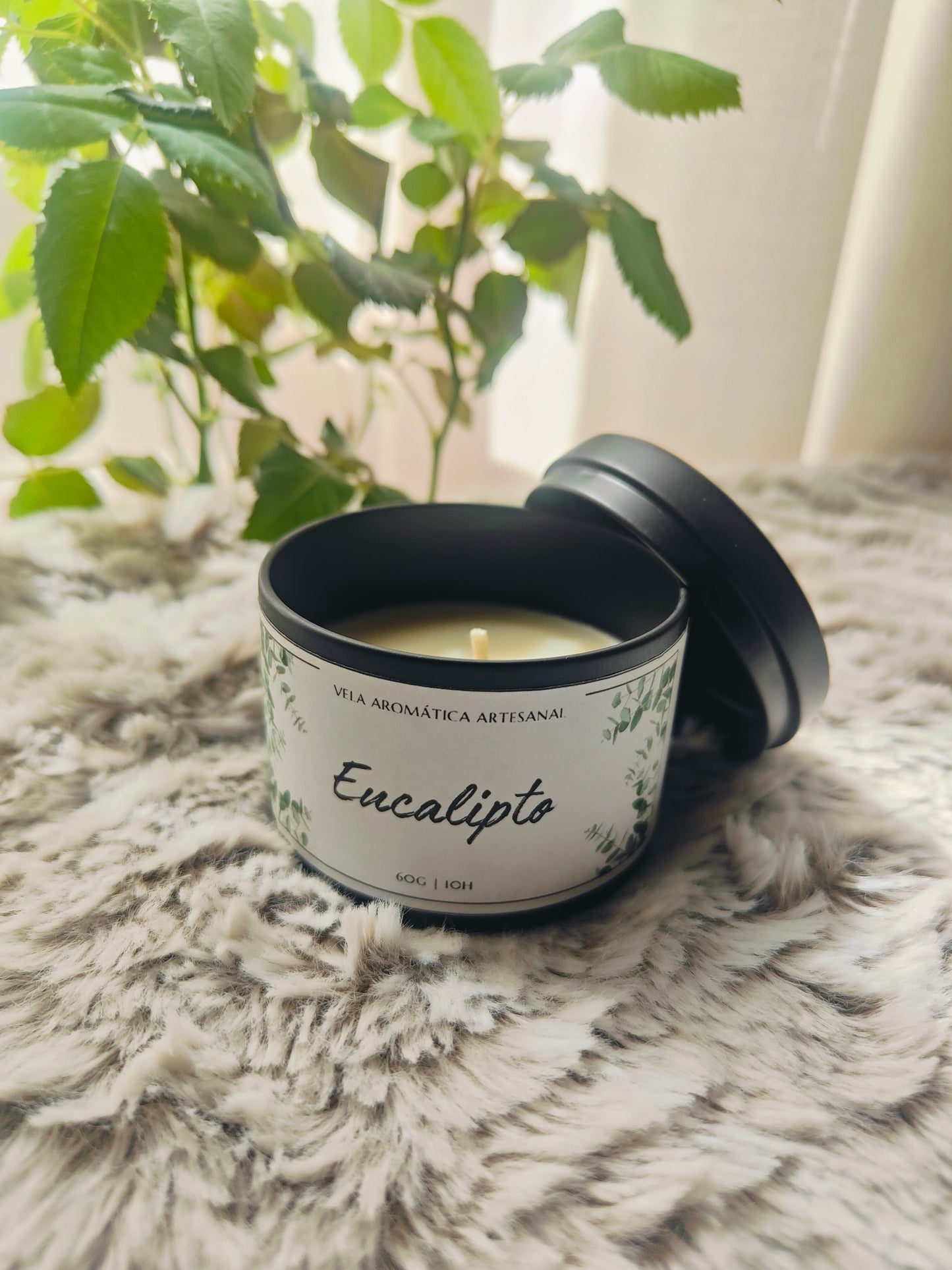 Eucalyptus