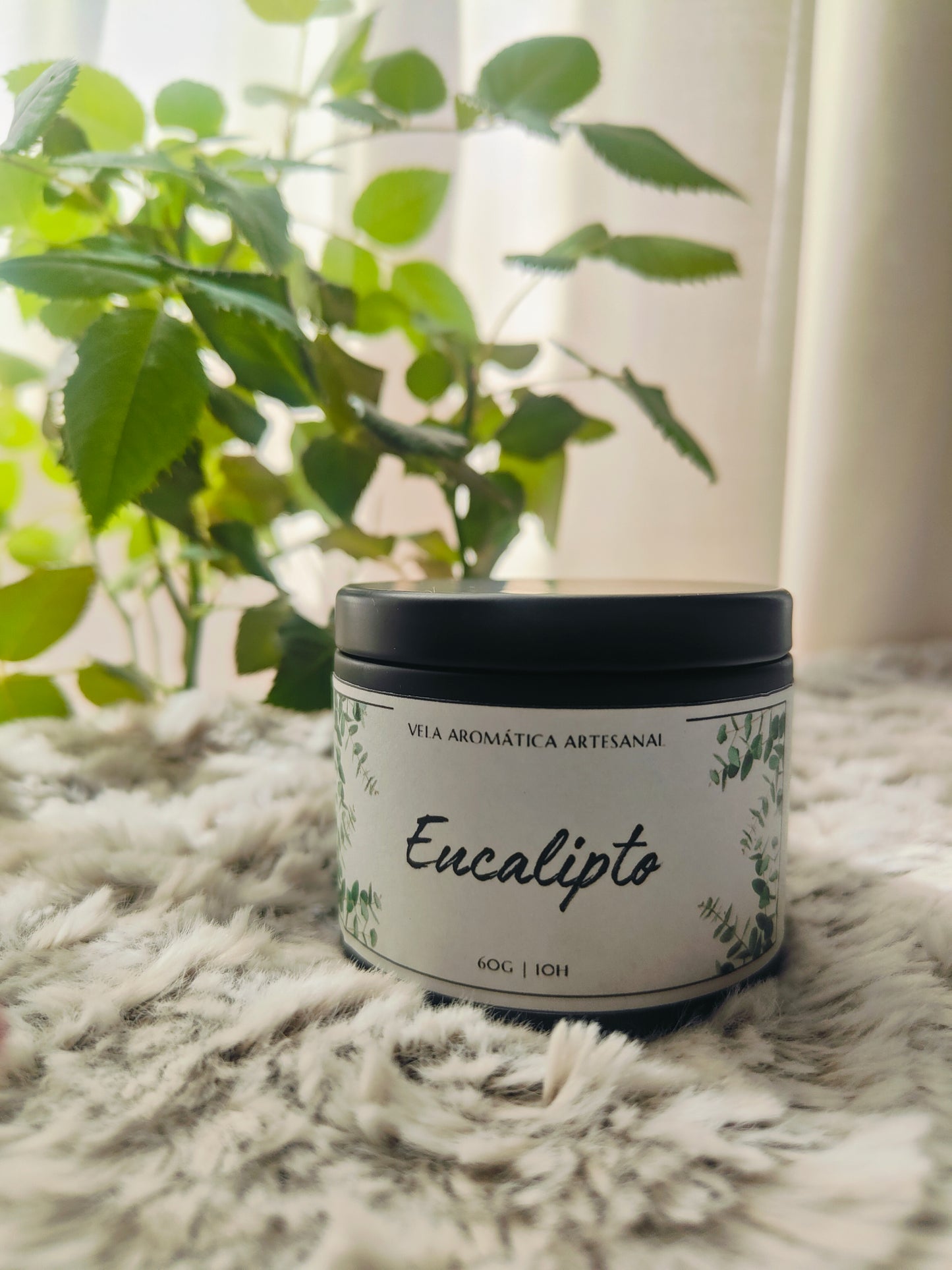 Eucalyptus