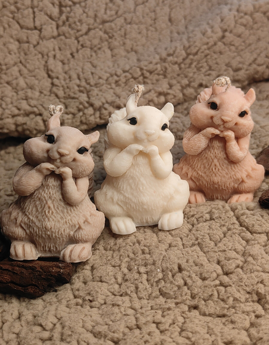 Esquilos Perfumados 🐿️🍁